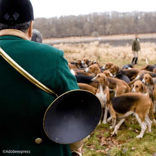 VISUELS EVENEMENTS-5-CHASSE A COURRE – ACCA MAXENT