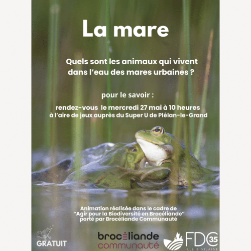 VISUELS EVENEMENTS SITE FDC-10-LA MARE