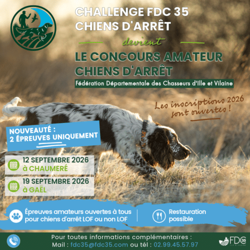 Concours Amateur Chiens d’Arrêt